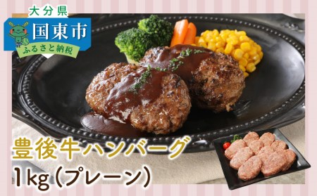 豊後牛ハンバーグ1kg(プレーン) _1201R