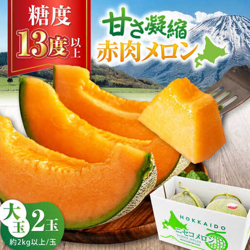 赤肉メロン 大玉2玉 [AJAH020] メロン
