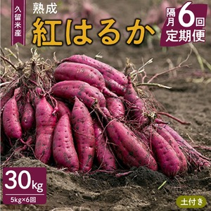 [福岡県久留米市産]熟成さつまいも(紅はるか)5kg [定期便-2ヶ月毎に6回お届け] 〔Tk011〕