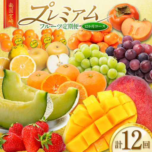 南国宮崎 プレミアムフルーツ定期便 Vol.2 12か月 送料無料