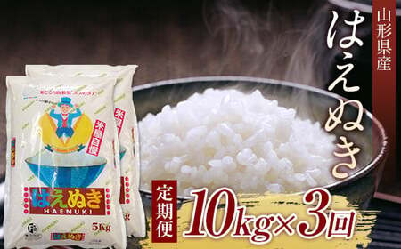 山形県産 はえぬき 10kg （5kg×2） 定期便 全3回 F2Y-3922