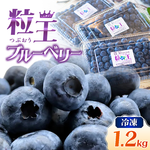 【 先行予約 】141-3 粒王 冷凍 ブルーベリー 1.2kg（400g×3P） KN030-002 果物
