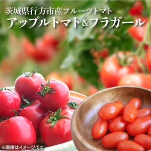 【2026年6月より順次発送】東山農園のアップルトマトとフラガール　合計約1kg｜トマト とまと 野菜 やさい 数量限定 先行予約 アップルトマト 新感覚 濃厚 フルーツ フルーツトマト 茨城県 行方市 ふるさと納税(FP-2)
