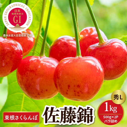 2027年産 GI 東根 さくらんぼ 佐藤錦 秀L 1kg バラ詰め (500g×2P) さくらんぼ