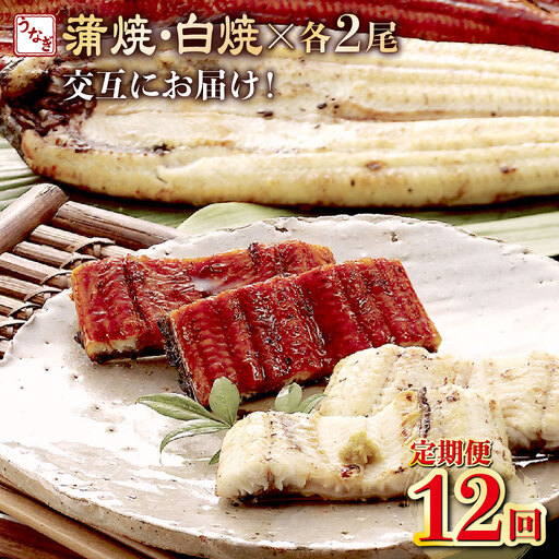 うなぎ蒲焼き 2尾 定期便 12回 うなぎ yj060