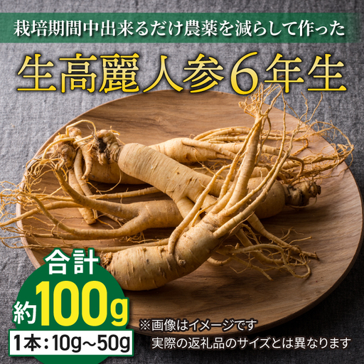 [栽培期間中出来るだけ農薬を減らして作った]生高麗人参 6年生 約10〜50g/約100g分 長野県東御市産/国産|天然アロマ工房Pono ※2026年9月中旬〜10月下旬お届け予定