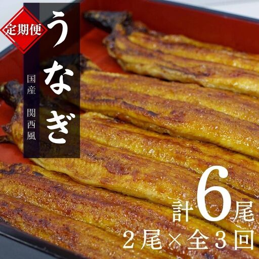 【3カ月定期便】国産うなぎ蒲焼（２本）タレ付き×３回 / 定期便 毎月お届け 和歌山 田辺市 国産 国産うなぎ 国産鰻 うなぎ 鰻 鰻丼 うな丼 土用の丑の日 冷凍  【ots024-tk】