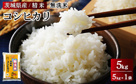 令和8年産 茨城県産 無洗米コシヒカリ 精米 5kg(5kg×1袋) ※2026年9月〜発送