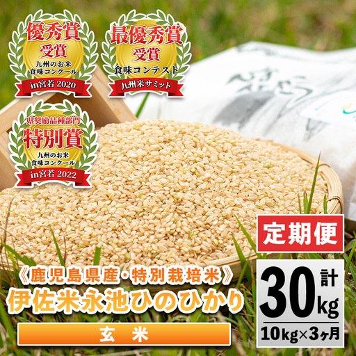 isa538 【定期便】令和6年産 特別栽培米 永池ひのひかり玄米(計30kg・10kg×3ヶ月)鹿児島 永池 お米 米 玄米 伊佐米 九州米サミット 食味コンテスト 最優秀賞受賞 ヒノヒカリ【エコファーム永池】