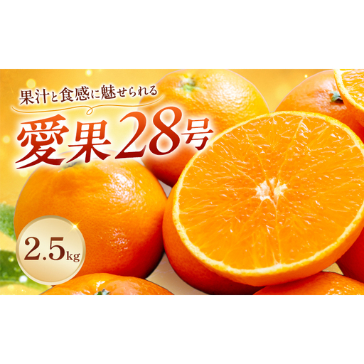 愛果28号 約2.5kg 東温市産 サイズお任せ 「 紅まどんな 」の同一品種(品種名: 愛媛果試28号 ) 今が旬 農園直送 みかん 人気 数量限定 先行予約 愛媛みかん かんきつ 愛媛県 フルーツ 果物 くだもの 甘い