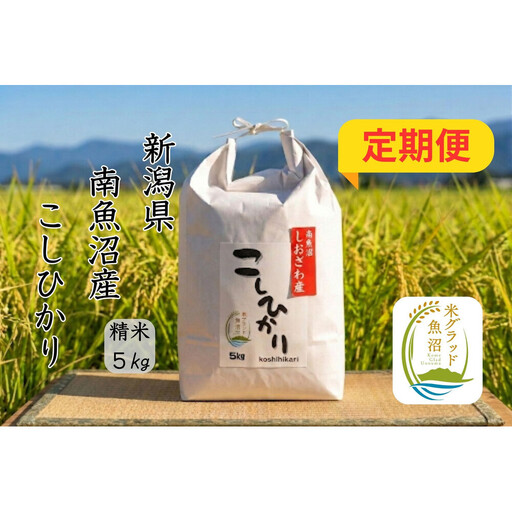 【令和8年産 新米】【定期便】新潟県南魚沼市の豊かな自然が育んだ、極上のコシヒカリ　5kg×6か月