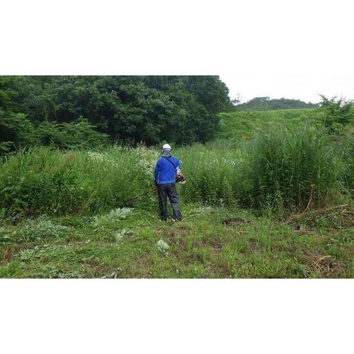 空き家空地の草刈、竹林・雑木林等の伐採、⇒運搬⇒リサイクル(30000円相当)