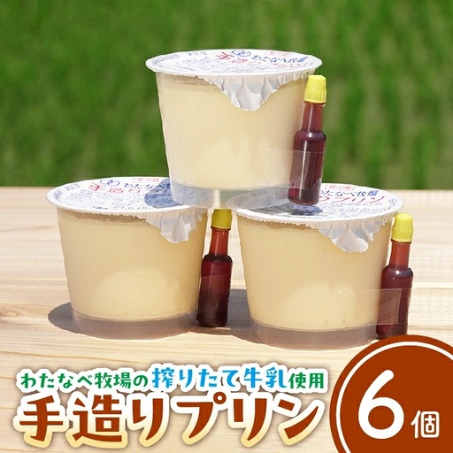 【テレビで紹介されました】手造りプリン6個セット／冷蔵 ネッカ牛乳 ネッカ卵 蒸しプリン ソース別 牧場 スイーツ おいしい ご褒美 おやつ 牧場 搾りたて グルメ お土産 自宅用 ギフト 贈り物 人気 テレビ TV 紹介 話題 島根県 安来市【06-WB-19】