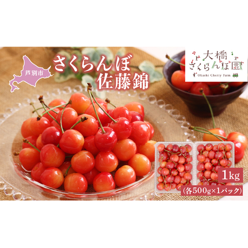 さくらんぼ 1kg (500g×2パック) 北海道 佐藤錦