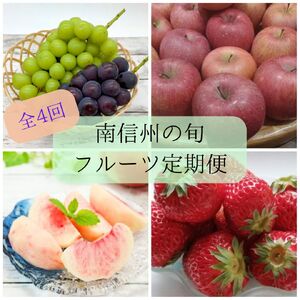 [全4回]南信州産 旬のフルーツ定期便