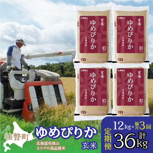 【隔月3回定期配送】（玄米12kg）ホクレンゆめぴりか（3kg×4袋） SBTD077
