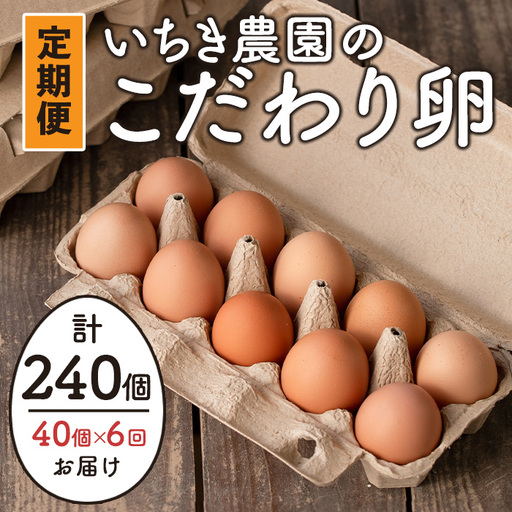isa542 [定期便]いちき農園のこだわり卵(計240個・40個×6カ月) 平飼い 鶏 たまご 卵 タマゴ 低コレステロール 抗生物質不使用 卵かけご飯 TKG 定期便[いちき農園]