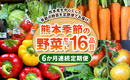 [6か月連続定期便]熊本季節の野菜セット 16品目