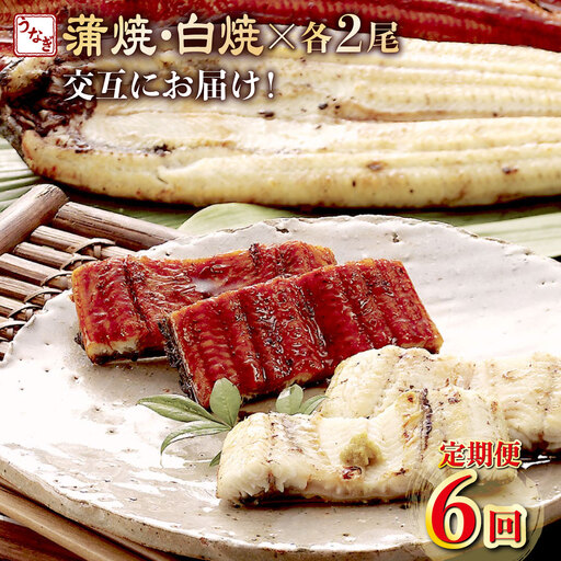 【6回 定期便】うなぎ 蒲焼き 2尾 定期便 6回 うなぎ 蒲焼き 冷凍 yj059