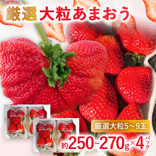 【2027年発送先行予約】厳選大粒あまおう(約250‐270g x 4パック) お取り寄せグルメ お取り寄せ 福岡 お土産 九州 福岡土産 取り寄せ グルメ 福岡県