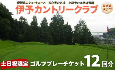 ゴルフ場 利用券 土日祝日限定 ゴルフプレーチケット 12回分 周り放題 伊予カントリークラブ 愛媛 伊予市|F20
