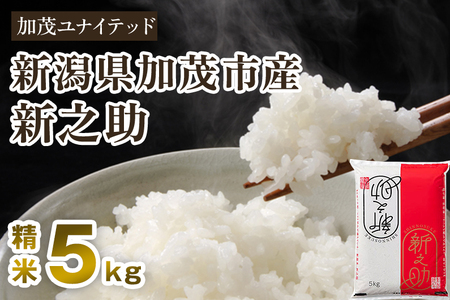 【令和8年産新米先行予約】新潟県産 新之助 精米 5kg（5kg×1袋）《10月上旬から順次出荷》