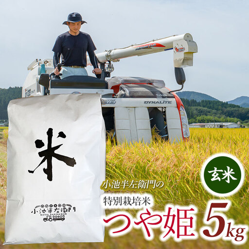 数量限定 [令和7年産] 山形県庄内産 小池半左衛門のお米 特別栽培米 つや姫 玄米 5kg (5kg×1袋)