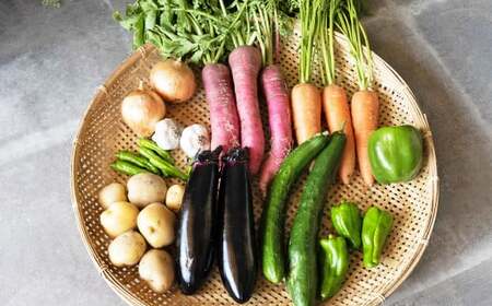 [12ヶ月定期便]新鮮!採れたて!HAN 季節のお野菜 詰め合わせ セット