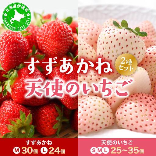 ＜先行予約＞ 北海道 伊達市 天使のいちご（S～Lサイズ 25～35個） すずあかね（Mサイズ30個またはLサイズ24個）【55250948】