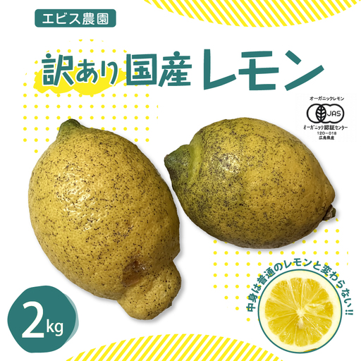 【先行受付】【2026年11月上旬～発送】【訳あり】希少な国産オーガニックレモン2.0kg【栽培期間中農薬不使用】ku026-004-26