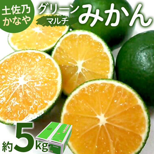 【2026年9月中旬より順次配送】グリーンみかん 5kg みかん be-0107