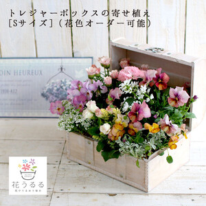 D015花うるるおまかせ寄せ植えトレジャｰBOX[Sサイズ](玄関春夏秋冬セットギフト花フラワｰギフトプレゼント完成品鉢植えお花誕生日女性寄植え母の日妻ガｰデニング新築祝い記念日開店祝いアレンジメントおしゃれ鉢完成品屋外