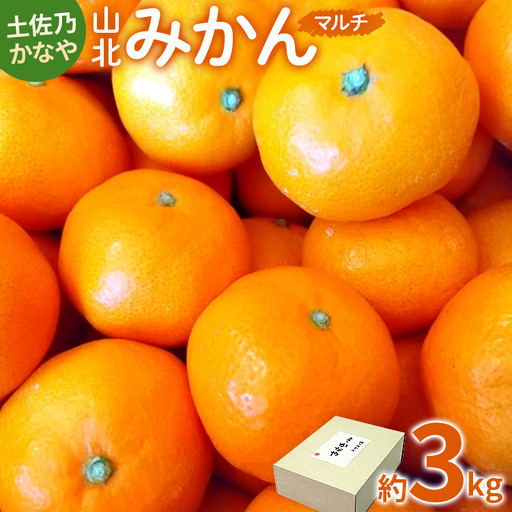 [2026年11月より順次配送]山北みかん マルチ みかん be-0108