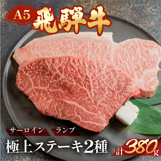 飛騨牛サーロイン・ランプステーキ約380g(約190g×各1枚)[11-1025]