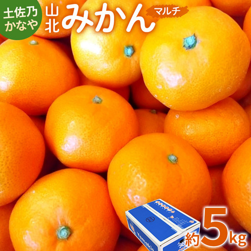 【先行予約】山北みかん 約5kg みかん be-0109