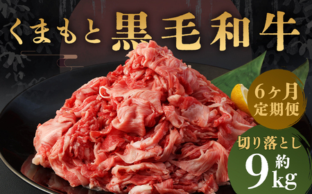 【定期便6回】A4-A5等級 くまもと黒毛和牛 切り落とし 合計 約1.5kg