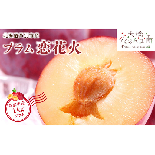 [ 先行受付 ] プラム 恋花火 1kg フルーツ 果物 くだもの 旬のフルーツ 旬の果物 季節のフルーツ 季節の果物 北海道 芦別市