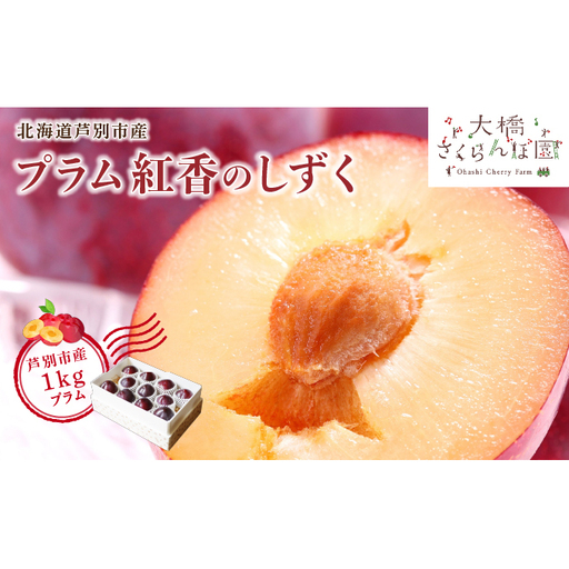 [ 先行受付 ]プラム 紅香のしずく 1kg 北海道産 すもも フルーツ 果物 旬のフルーツ 旬の果物 くだもの 北海道 芦別市
