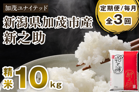 【令和8年産新米先行予約】【定期便3ヶ月毎月お届け】新潟県産 新之助 精米10kg（5kg×2袋）《10月上旬から順次出荷》