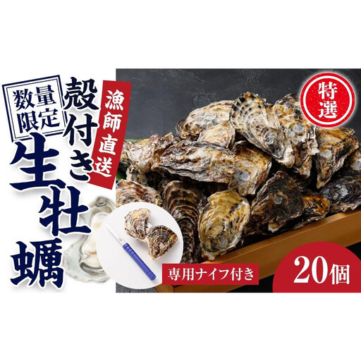 【先行予約】【5月発送】特選！殻付き生牡蠣 20個【漁師直送！】