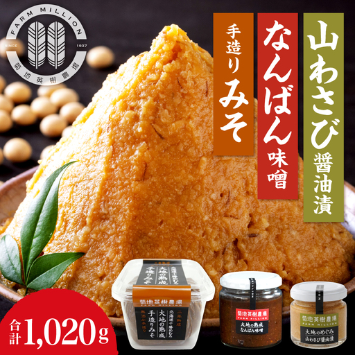大地の熟成 手造り味噌 700g なんばん味噌 240g 山わさび 80g セット 十勝産大豆 調味料 わさび 味噌汁 ラーメン うどん パスタ 送料無料 北海道 十勝 芽室町me016-008c