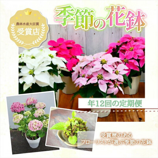 [定期便年12回 季節の花鉢]農林水産大臣賞を受賞したフローリストがアレンジする 季節を知らせる花鉢 | 花鉢
