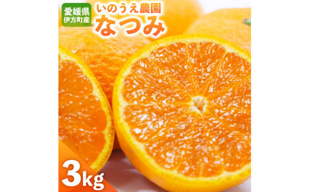 [2027年5月発送予定]いのうえ農園のなつみ3kg ※着日指定不可 ※離島への配送不可[えひめの町(超)推し!(伊方町)](284-1)