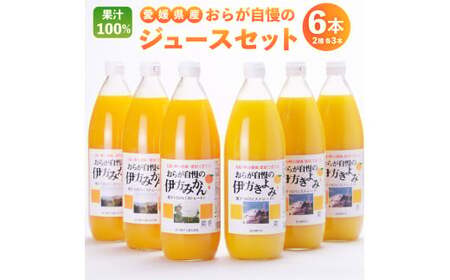 [愛媛県産]愛媛県産 おらが自慢の伊方ジュース 2種セット 合計6本 1L×6本 みかん3本 きよみ3本 1000ml ストレート 果汁100% 名産品 ドリンク 飲料 ジュース フルーツジュース 果物 飲み物 愛媛県 [2024年4月上旬より順次発送開始] [えひめの町(超)推し!(伊方町)](286)