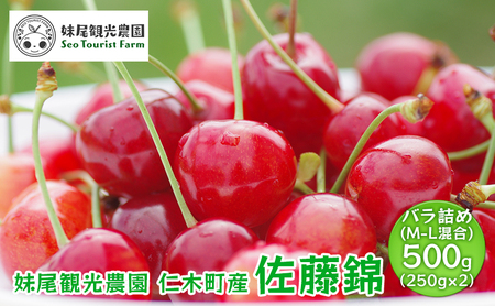 さくらんぼ 500g 佐藤錦 M-L混合 サクランボ