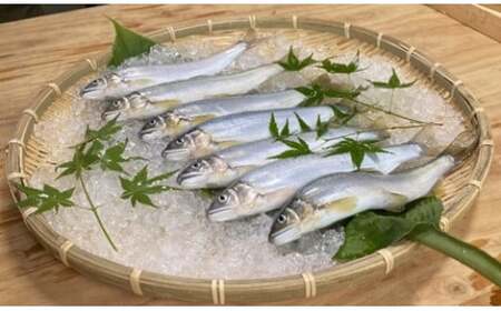 （冷蔵）　鮎　約1.4kg　／大森水産　あゆ　お取り寄せグルメ　川魚　和食　三重県　大台町
