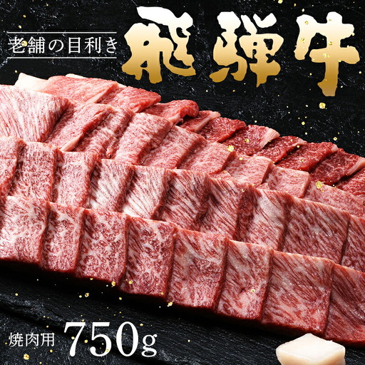 牛肉 飛騨牛 ロース肉 焼肉用 750g 牛 肉 ロース 焼き肉 赤身 飛騨 F4N-1744