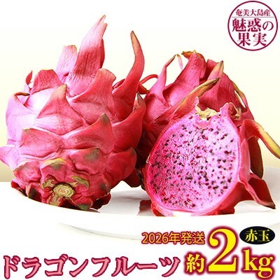 2026年発送[奄美大島産]魅惑の果実・ドラゴンフルーツ(赤玉)約2kg 果物 フルーツ