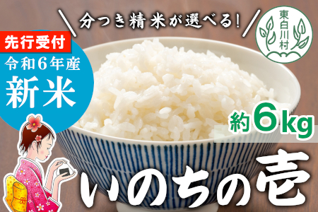 お好みに合わせて精米！ 令和6年産 いのちの壱 玄米 約6kg 新米 先行予約 お米 ご飯 10000円 一万円