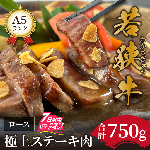 若狭牛A5ランク リブロース極上ステーキ肉 [E-037007]